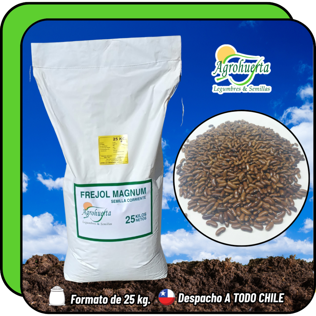 Semilla de Poroto Magnum en bolsa de 25 kg