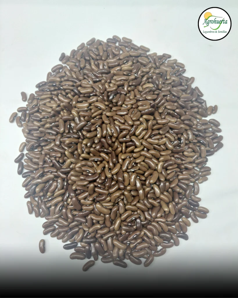 semilla-poroto-magnum-agrohuerta