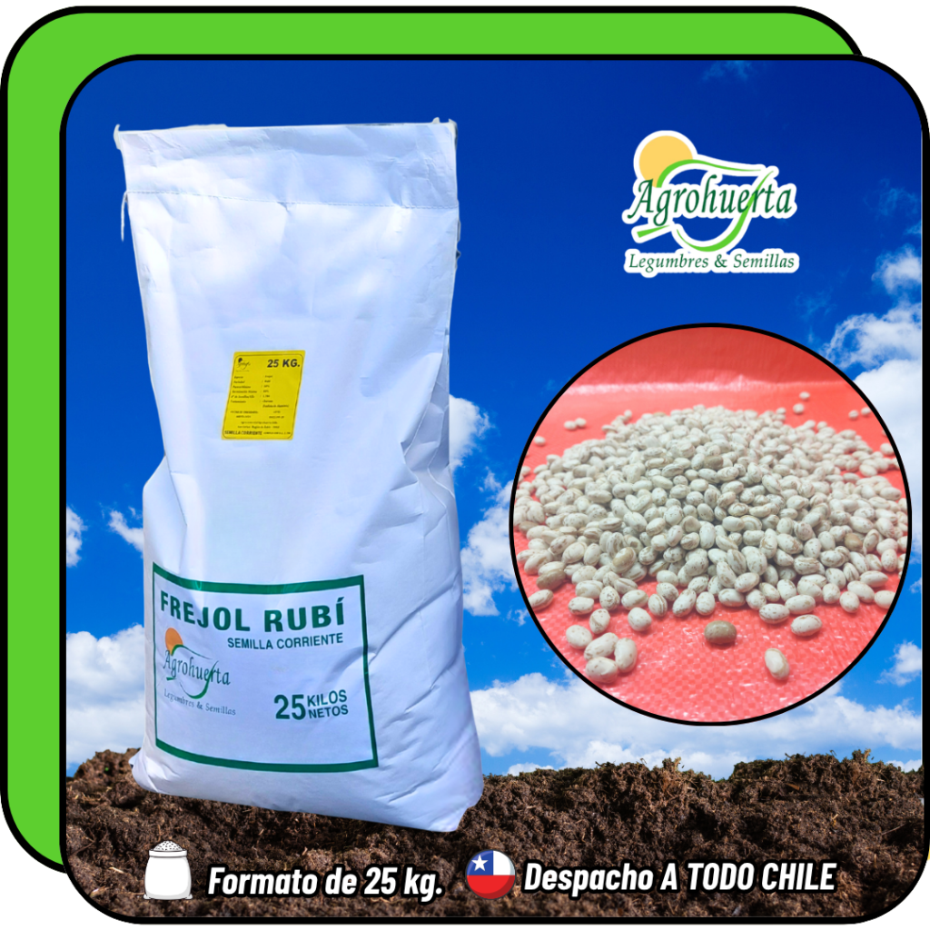 Semilla de Poroto Rubí en bolsa de 25 kg