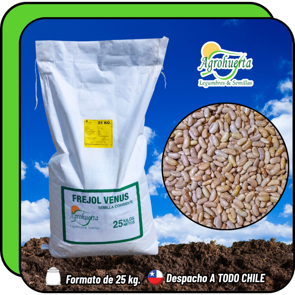 Semilla de Poroto Venus en bolsa de 25 kg